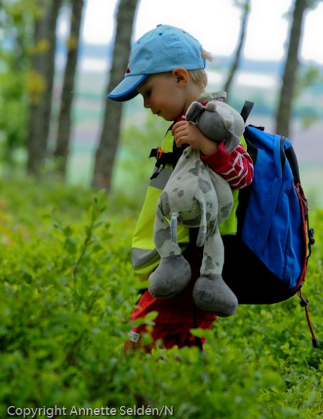 20080526-080526 (316)-2.jpg