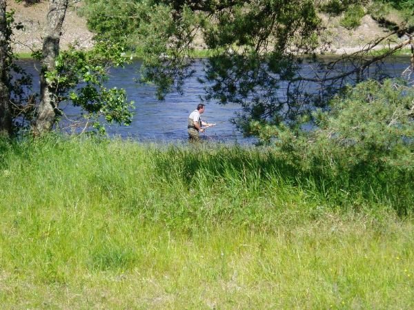 Fiske Aelvkarleby_090625_3.jpg