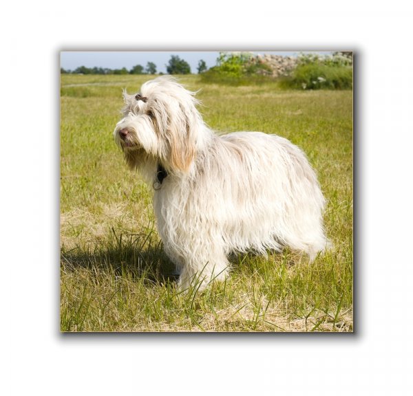 Britta 2009-06-27.jpg Britta 2009-06-27.jpg