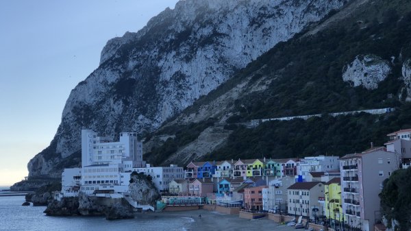 fullsizeoutput_1663.jpeg fullsizeoutput_1663.jpeg