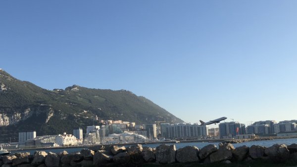 fullsizeoutput_1640.jpeg fullsizeoutput_1640.jpeg