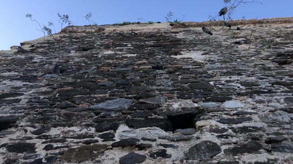 fullsizeoutput_16de.jpeg fullsizeoutput_16de.jpeg