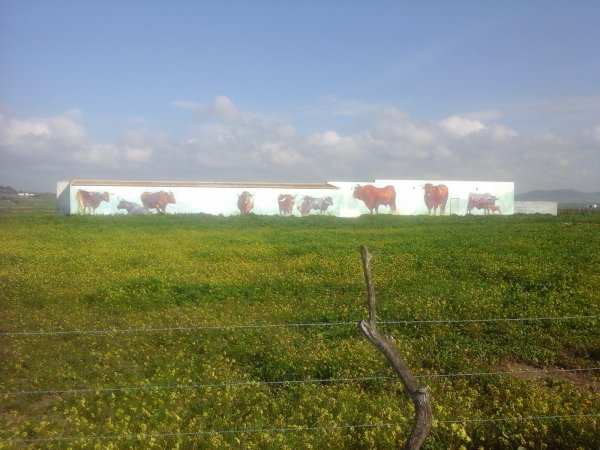 180125 Frontera1.jpg