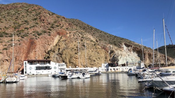 fullsizeoutput_171d.jpeg fullsizeoutput_171d.jpeg