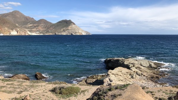 fullsizeoutput_1733.jpeg fullsizeoutput_1733.jpeg