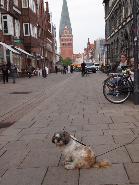 P5111800.JPG P5111800.JPG