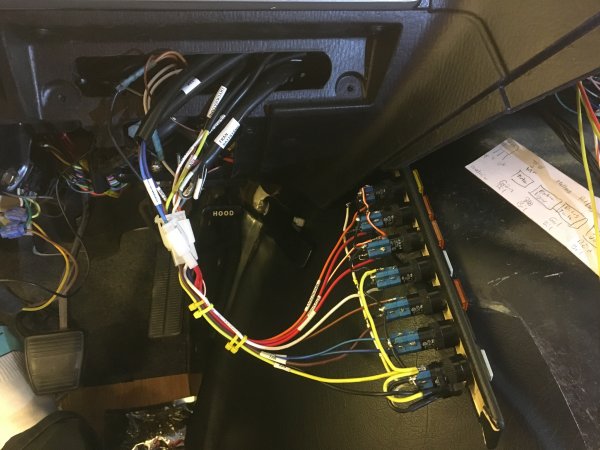 IMG_7171.JPG IMG_7171.JPG