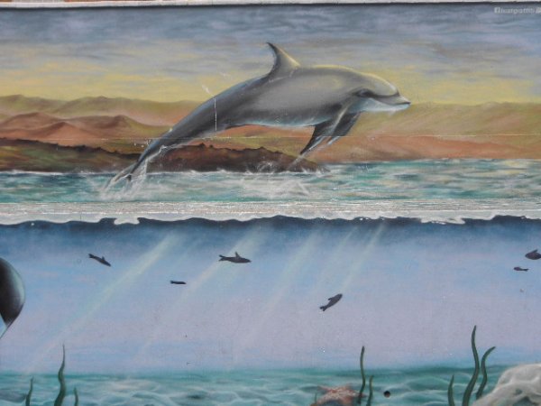 180129 Tarifa (1).JPG