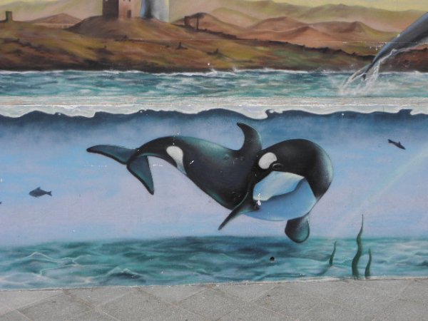 180129 Tarifa (2).JPG