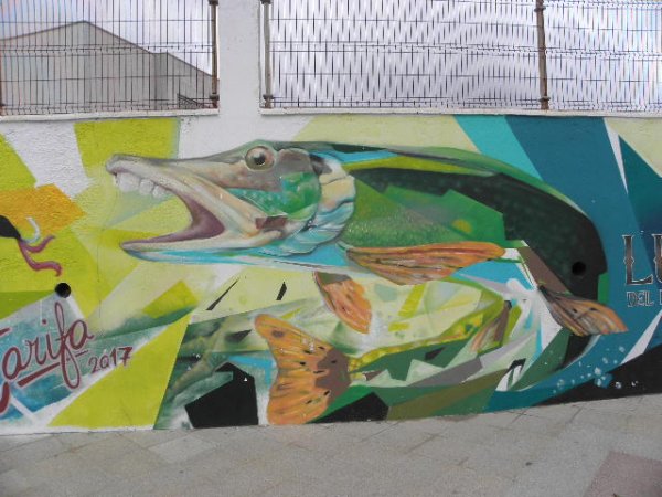 180129 Tarifa (7).JPG