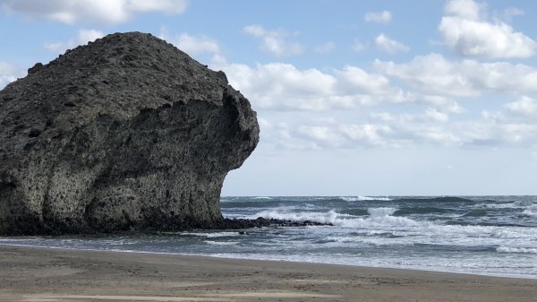 fullsizeoutput_1781.jpeg fullsizeoutput_1781.jpeg