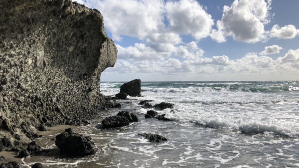 fullsizeoutput_1787.jpeg fullsizeoutput_1787.jpeg