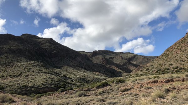 fullsizeoutput_178d.jpeg fullsizeoutput_178d.jpeg