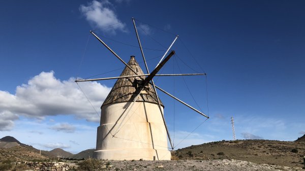 fullsizeoutput_1791.jpeg fullsizeoutput_1791.jpeg