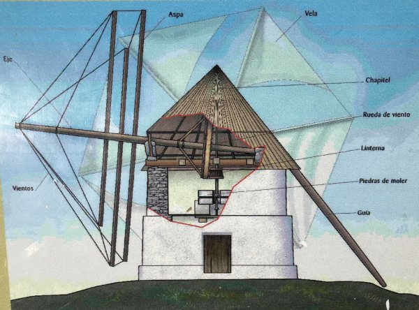 fullsizeoutput_1793.jpeg fullsizeoutput_1793.jpeg