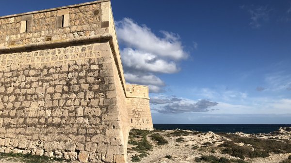 fullsizeoutput_1797.jpeg fullsizeoutput_1797.jpeg