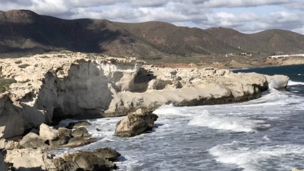 fullsizeoutput_179d.jpeg fullsizeoutput_179d.jpeg