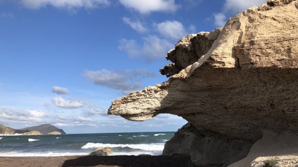 fullsizeoutput_17a9.jpeg fullsizeoutput_17a9.jpeg