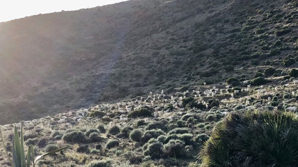 fullsizeoutput_17bd.jpeg fullsizeoutput_17bd.jpeg