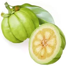garcinia cambogia.jpeg