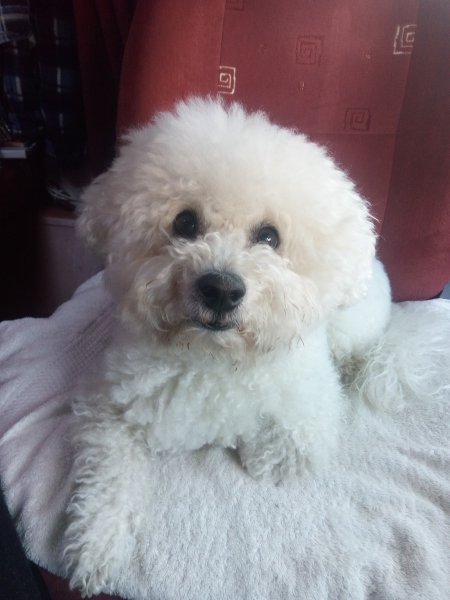 180215 Rappe.jpg 180215 Rappe.jpg