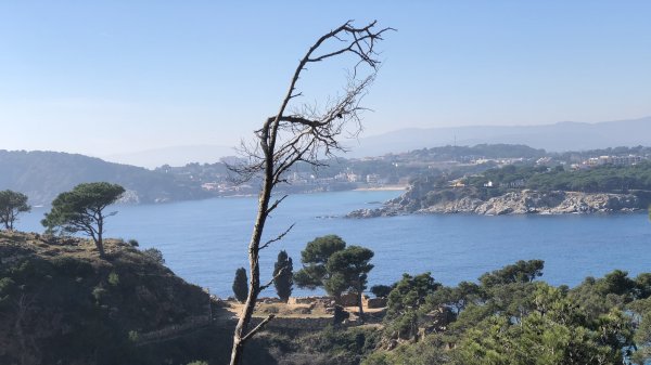 fullsizeoutput_19bc.jpeg fullsizeoutput_19bc.jpeg