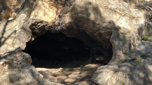 fullsizeoutput_19c2.jpeg fullsizeoutput_19c2.jpeg