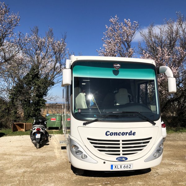 fullsizeoutput_1a56.jpeg fullsizeoutput_1a56.jpeg