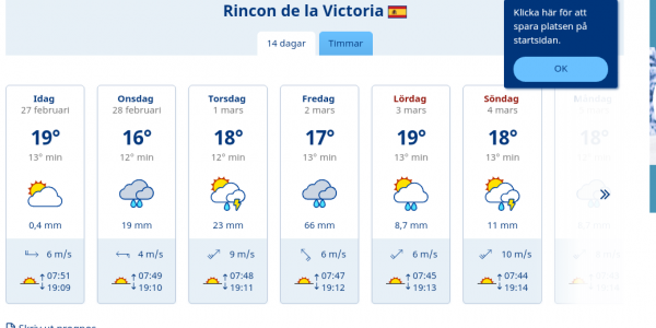 Rincon.png Rincon.png