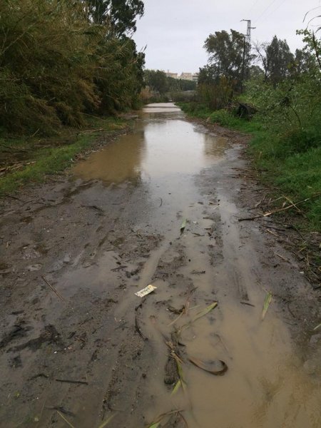 7986E981-3854-49D4-A16F-4C9AE0697955.jpeg 7986E981-3854-49D4-A16F-4C9AE0697955.jpeg