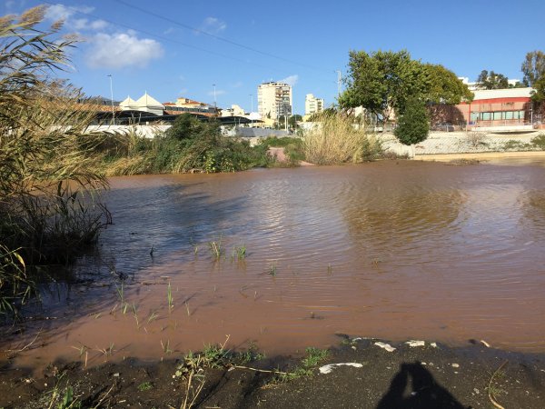 860227EA-00C3-4D6F-A3F6-8A695ED7DDDF.jpeg 860227EA-00C3-4D6F-A3F6-8A695ED7DDDF.jpeg