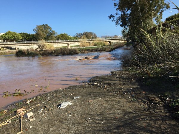 827453E0-2CB8-483E-B2B1-6060806D6BE1.jpeg 827453E0-2CB8-483E-B2B1-6060806D6BE1.jpeg