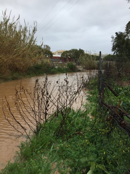 E269684B-04D4-471E-B43D-A801244AA336.jpeg E269684B-04D4-471E-B43D-A801244AA336.jpeg