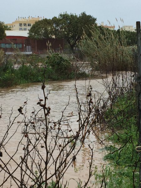 0949C171-F08B-4067-BAF8-A0006652A431.jpeg 0949C171-F08B-4067-BAF8-A0006652A431.jpeg