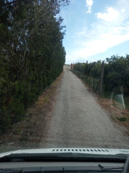 180320 smal väg.jpg 180320 smal väg.jpg