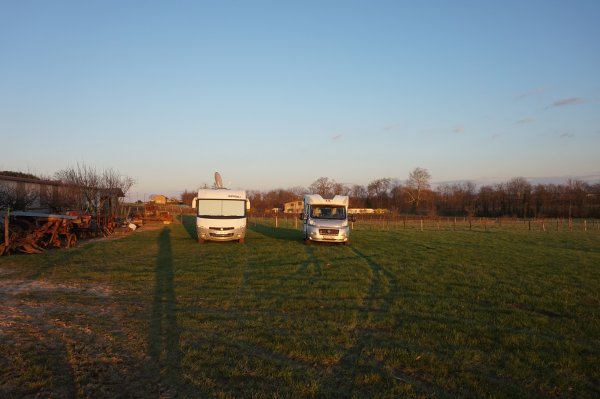 blåbär_2020.jpg blåbär_2020.jpg