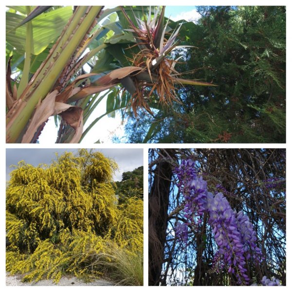 20180322_094208-COLLAGE.jpg 20180322_094208-COLLAGE.jpg
