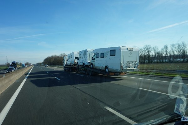 blåbär_1620.jpg blåbär_1620.jpg