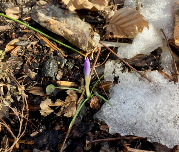 IMG_2239 (redigerad).JPG