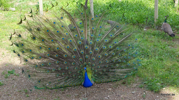1714-05-Chania-Heraklion.jpg 1714-05-Chania-Heraklion.jpg