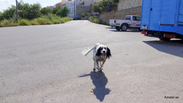 1714Heraklion-Sitia01.JPG 1714Heraklion-Sitia01.JPG