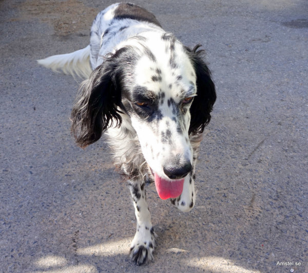 1714Heraklion-Sitia02.JPG 1714Heraklion-Sitia02.JPG