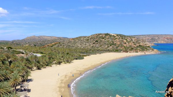 1714Sitia-Vai10.JPG 1714Sitia-Vai10.JPG