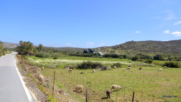 1714Sitia-Vai05.JPG 1714Sitia-Vai05.JPG