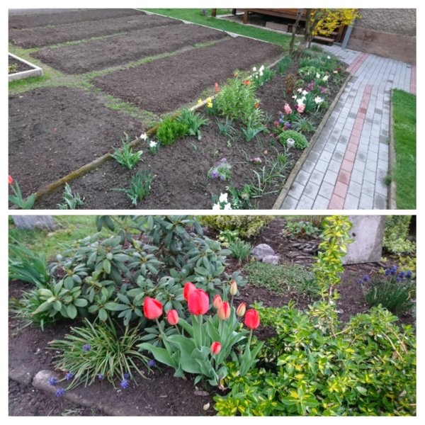 20180416_185259-COLLAGE.jpg