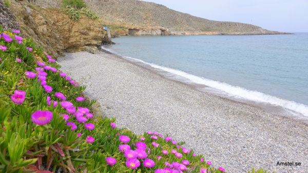 1715Kouremenos-KatoZakros12.JPG 1715Kouremenos-KatoZakros12.JPG