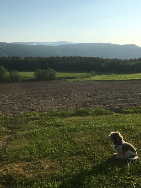 8868958B-88B8-439E-8702-7CD502A0D2F0.jpeg 8868958B-88B8-439E-8702-7CD502A0D2F0.jpeg