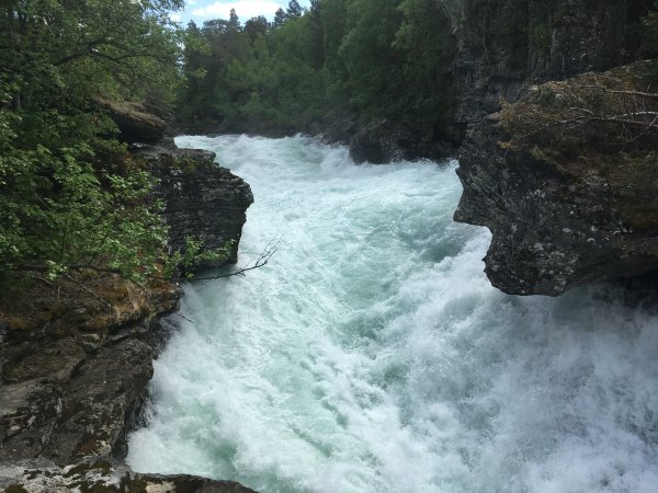 5E965A71-9E10-4D0E-9ECF-D4CF97807678.jpeg 5E965A71-9E10-4D0E-9ECF-D4CF97807678.jpeg