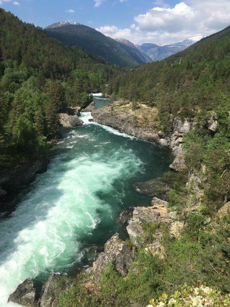 210D2977-03F0-48C2-8023-45AFB567A46D.jpeg 210D2977-03F0-48C2-8023-45AFB567A46D.jpeg