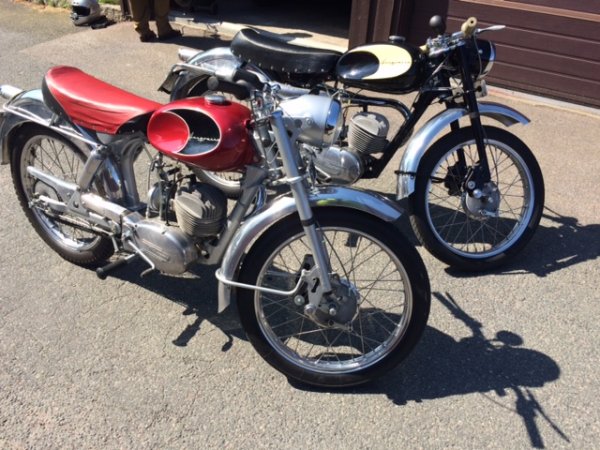 IMG_1216.JPG IMG_1216.JPG